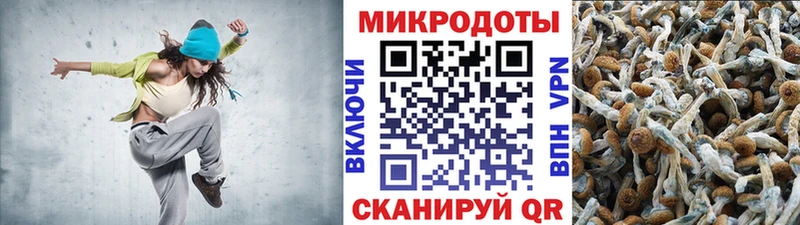Галлюциногенные грибы Magic Shrooms  мега сайт  Юрга 