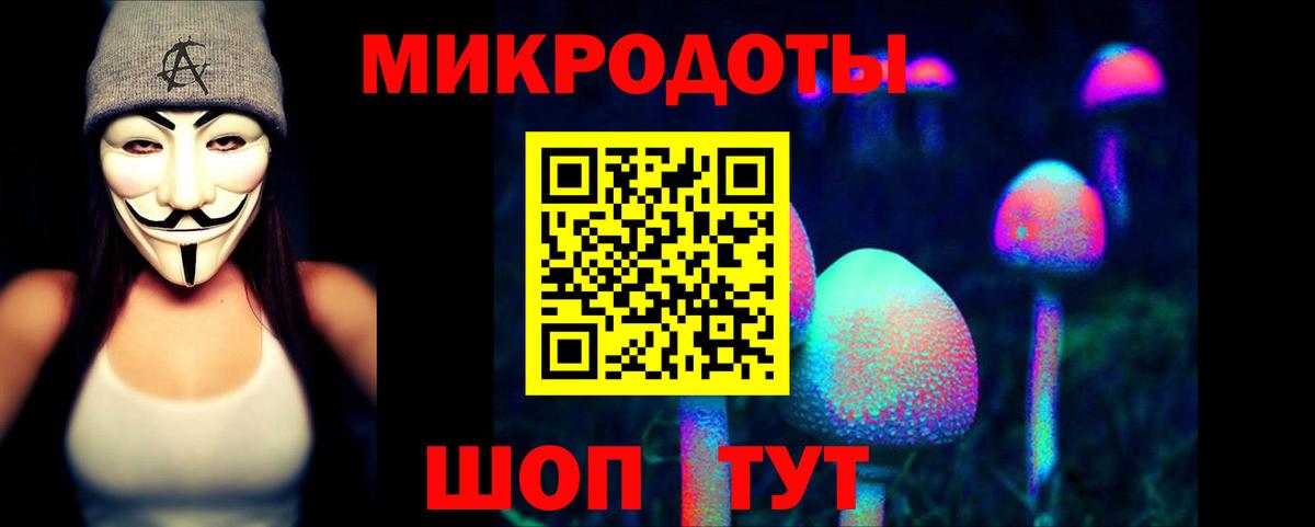 Галлюциногенные грибы Psilocybine cubensis Юрга